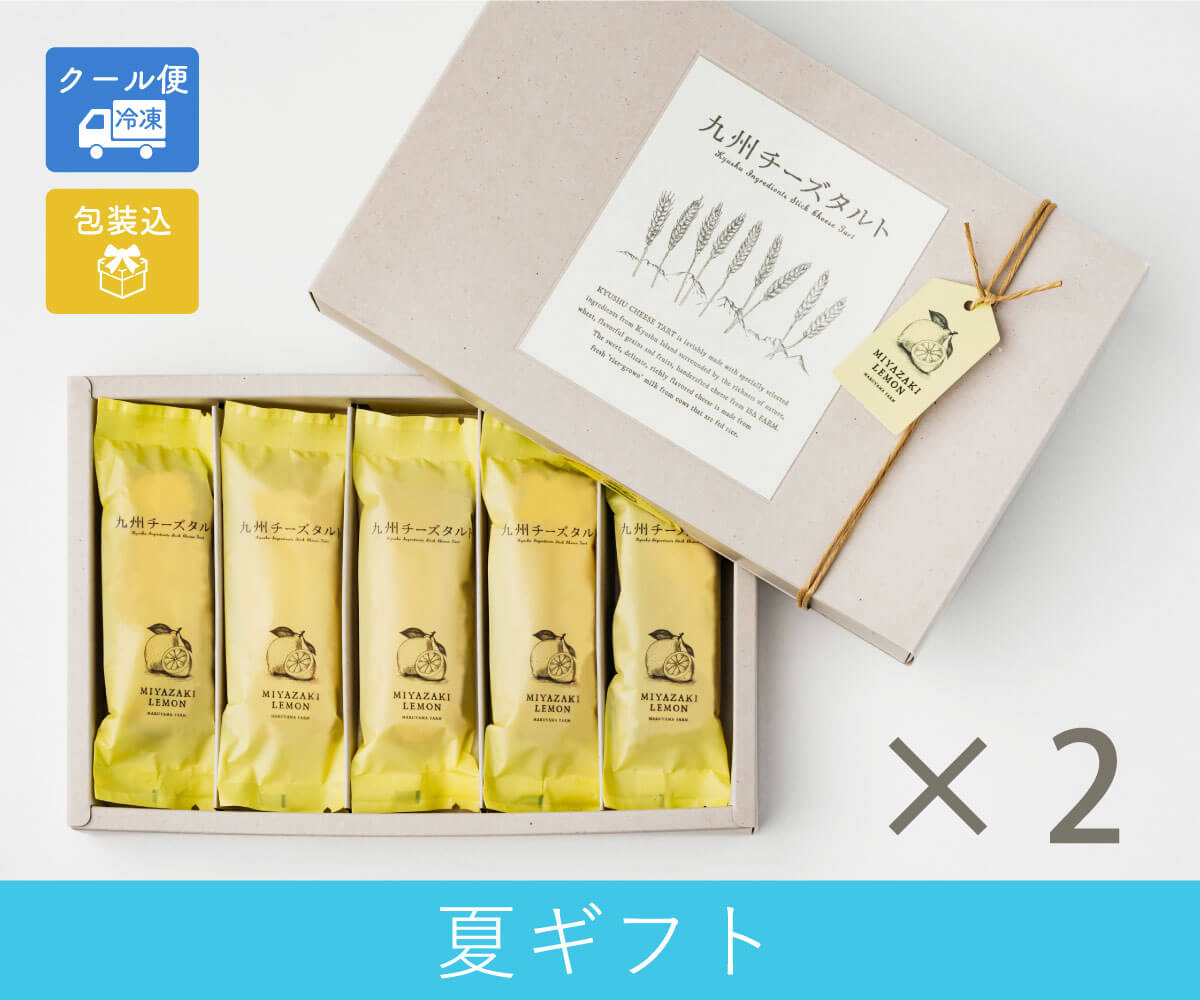 【夏ギフト】九州チーズタルト（5本入×2箱）